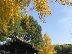 -乌镇东栅景区