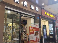 -袖虎宠物·金渐层缅因猫舍(灵芝店)