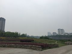 -眉山湿地公园(东坡区)