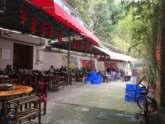 -章记正宗南岗鱼蛋火锅