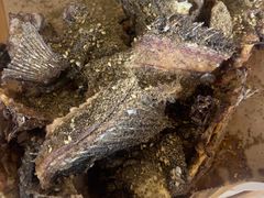 -活鱼馆(宜兴埠店)