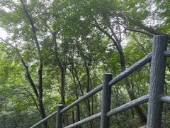 -紫金山山顶公园