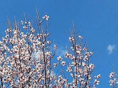-北京市府学胡同小学
