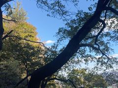 -北京鹫峰国家森林公园