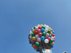 -苏州太湖西山岛开心农场