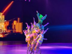 -重庆国际马戏城