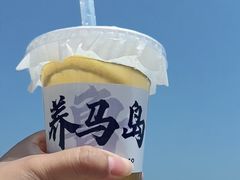 -养马岛旅游度假区