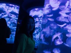 -乌鲁木齐海洋馆