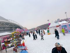 -沈阳奥体冰雪嘉年华