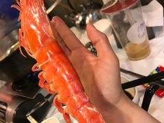 花竹虾-鲜入围煮花胶鸡海鲜火锅