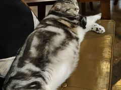 -咖法森林·咖啡  酒吧(天河店)