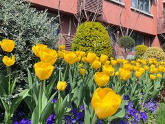 -上海市黄浦区教育学院附属中山学校