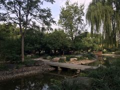 -石家庄市植物园