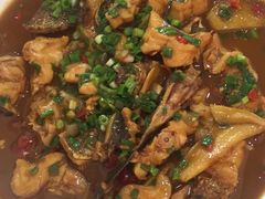 -全乐鱼馆·淳牌有机鱼直营店