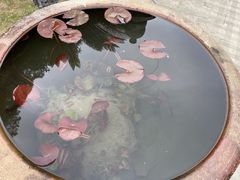 -鹰龙海畔度假酒店(咸祥店)