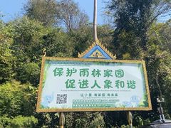 -野象谷景区