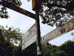-南丫岛