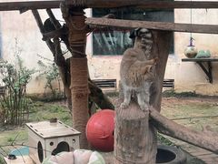 -青藏高原野生动物园