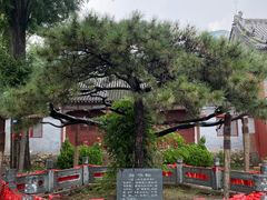 -泰山风景名胜区-普照寺