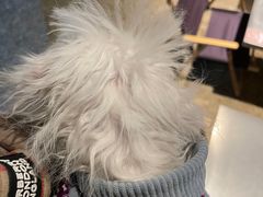 -J Create城市露营咖啡·简餐·宠物(上海动物园店)