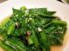 油麦菜-東大方(海宁海昌路店)