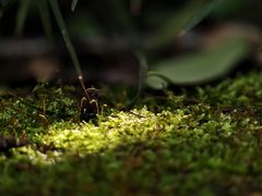 -成都市活水公园