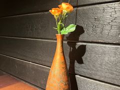-觀芷隐轩