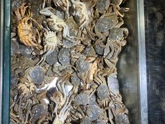 -欢乐牧场海鲜烤肉自助(牡丹园店)