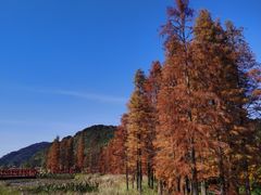 -广州市石门国家森林公园