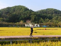 -红山村