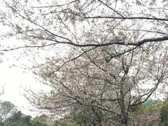 -昆山城市公园