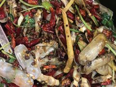 -老黑板筋(顺义总店)