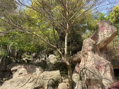 -溪霞怪石岭生态公园
