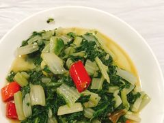 -明升萝卜汤
