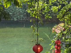 -侨美·唐荔园·40年地道粤菜