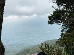 -七仙岭温泉国家森林公园