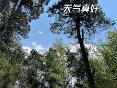 -寂照庵