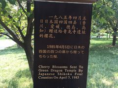 -西安青龙寺遗址景区