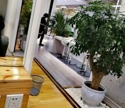 -P.STYLE派斯造型