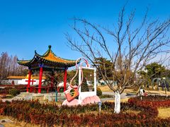 -武汉园博园(武汉自然博物馆)