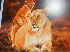 -罗红摄影艺术馆