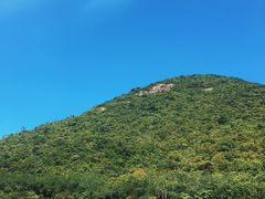 -清溪森林公园