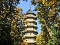 -灵谷景区