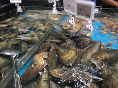 -盒马鲜生(曜一城店)