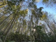 -千泷沟大瀑布旅游区