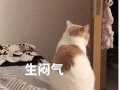 -Carpe Diem精酿空间