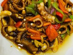 酱爆八爪鱼-双井轩(双井店)