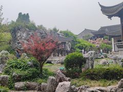 -芥子园