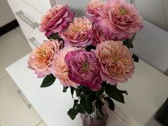 -蔓兰家的四季S0餐厅·融合菜(当代MOMA店)
