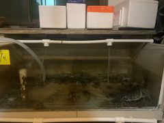 -水岸居湖景农家乐·阳澄湖大闸蟹